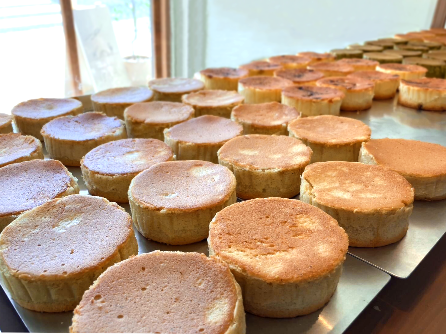 ぼうろが並んだショーケースの中の写真